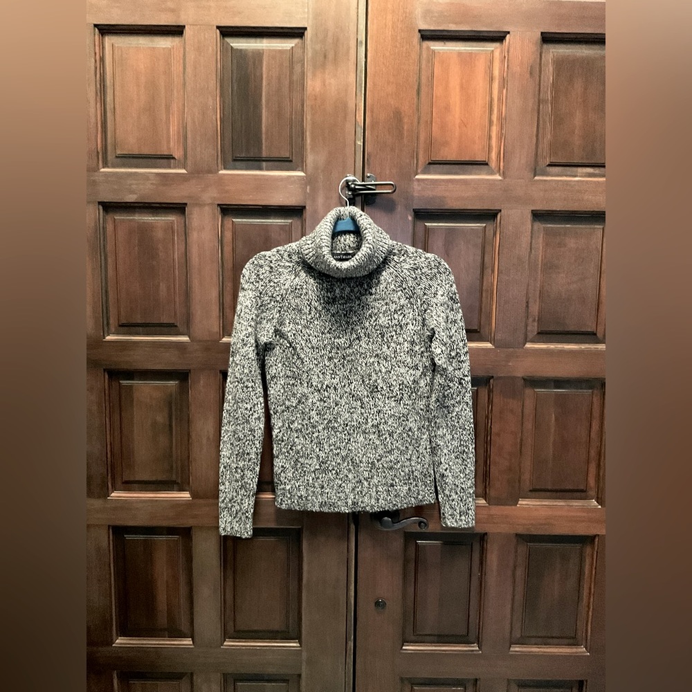 Ann Taylor Cashmere Turtleneck